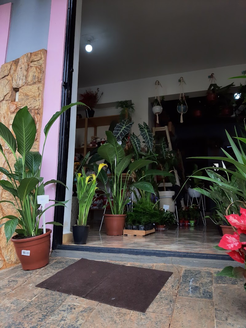 Lucilene Floricultura